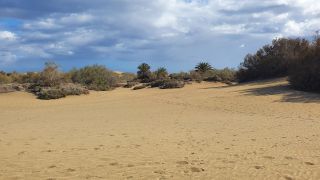 2023-GC--Mapalomas dunas-S123-069.jpg